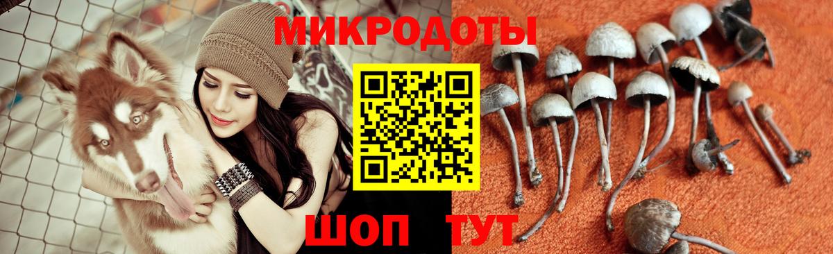 Меф   ГАШИШ  Тихвин  ЭКСТАЗИ  Вход с VPN  LSD-25  APVP СОЛЬ кристаллы  Канабис 