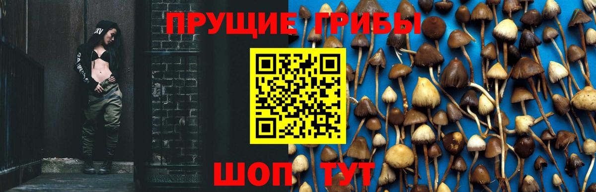 Тихвин  как найти закладки  Вход с VPN  Галлюциногенные грибы ЛСД 